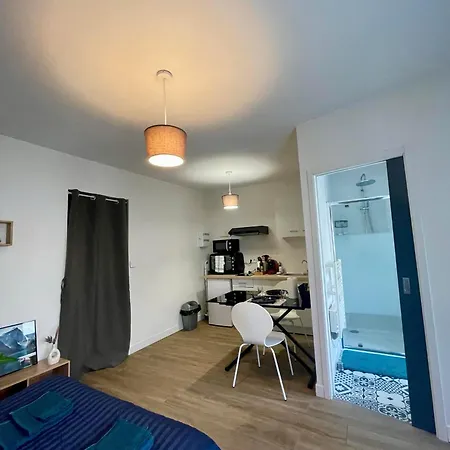 Cosy Proche Gare Angers