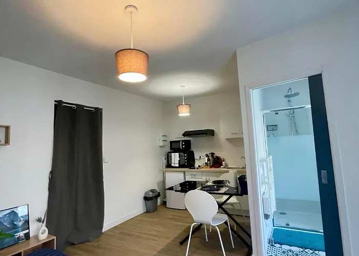 Cosy Proche Gare Анже